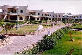 10 29-1. jpg
