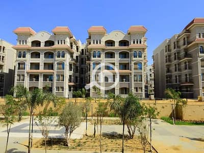 3 Bedroom Flat for Sale in New Cairo, Cairo - WhatsApp Image 2024-01-07 at 11.55. 06 AM (5). jpg