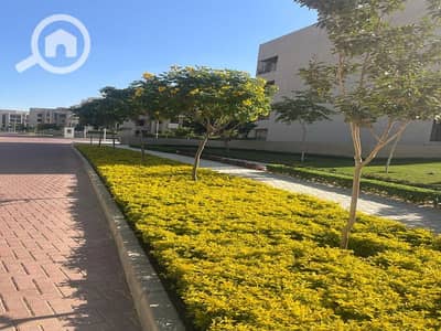 3 Bedroom Flat for Sale in New Cairo, Cairo - WhatsApp Image 2023-07-30 at 4.10. 19 PM (8). png