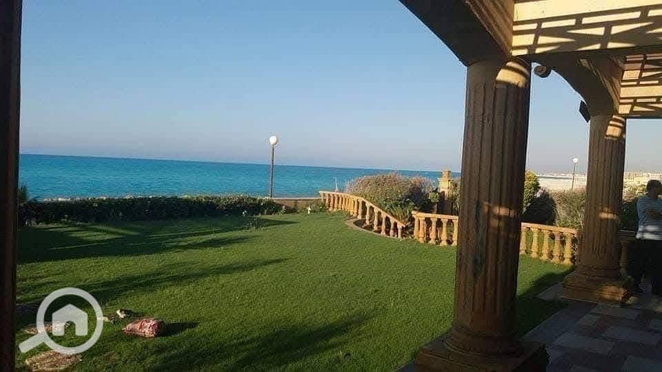 5 WhatsApp Image 2025-07-05 at 15.33. 06_a3094115. jpg