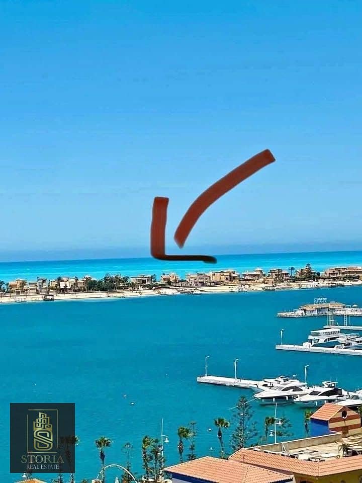 9 508478303_2858062014376833_967071064550511372_n. jpg