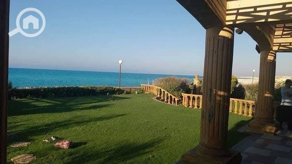 3 WhatsApp Image 2025-07-05 at 15.33. 06_a3094115. jpg