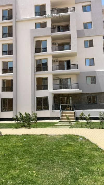 3 Bedroom Flat for Sale in Sheikh Zayed, Giza - WhatsApp Image 2025-05-29 at 11.15. 20 AM. jpeg
