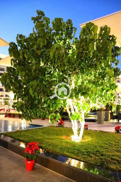 دوبلكس 3 غرف نوم للايجار في القاهرة الجديدة، القاهرة - WhatsApp Image 2020-01-09 at 2.41. 06 PM. jpeg