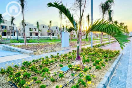 2 Bedroom Apartment for Sale in Amreya, Alexandria - WhatsApp Image 2025-07-03 at 11.11. 01 PM. jpg