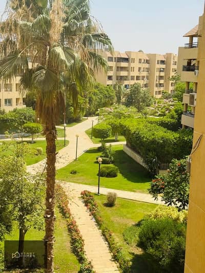 شقة 3 غرف نوم للبيع في القاهرة الجديدة، القاهرة - WhatsApp Image 2025-07-09 at 10.16. 21 AM (1). jpeg