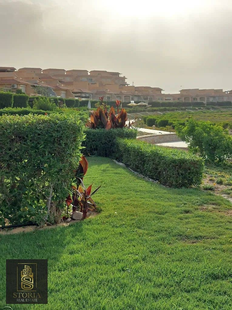 8 تلال  (4). png