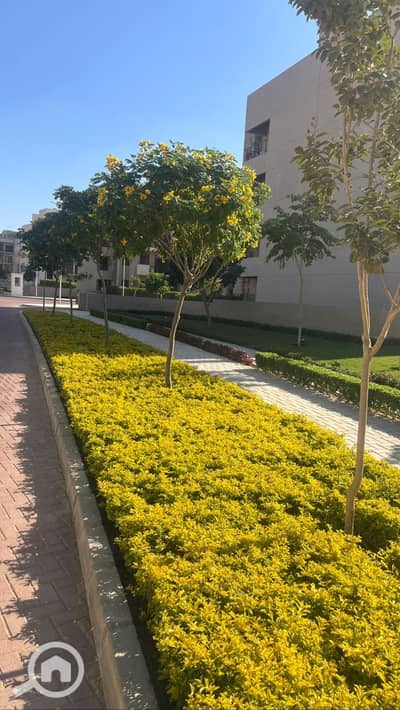 3 Bedroom Flat for Sale in New Cairo, Cairo - WhatsApp Image 2025-07-09 at 4.41. 06 PM (1). jpeg