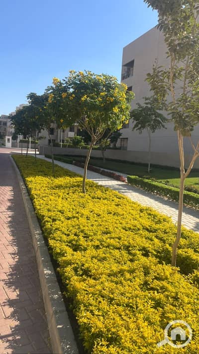 شقة 3 غرف نوم للبيع في القاهرة الجديدة، القاهرة - WhatsApp Image 2025-07-09 at 1.57. 19 PM (1). jpeg