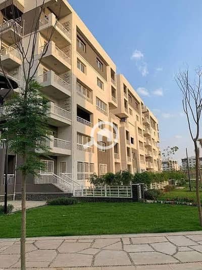 3 Bedroom Flat for Sale in Madinaty, Cairo - WhatsApp Image 2025-07-10 at 10.53. 35 AM (3). jpeg