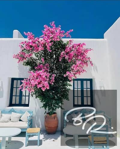 3 Bedroom Chalet for Sale in North Coast, Matruh - WhatsApp Image 2025-04-07 at 7.10. 01 PM. jpeg