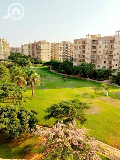 3 Bedroom Flat for Sale in Madinaty, Cairo - WhatsApp Image 2024-09-26 at 2.59. 08 PM. jpeg