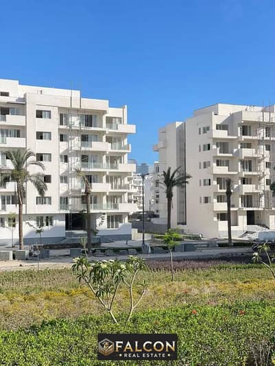 3 Bedroom Apartment for Sale in North Coast, Matruh - 494539045_122111520320854661_2984982800345830764_n. jpg