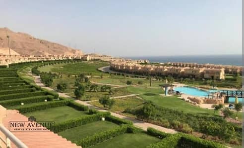 5 Bedroom Twin House for Sale in Ain Sukhna, Suez - WhatsApp Image 2025-07-10 at 12.17. 59 PM. jpeg