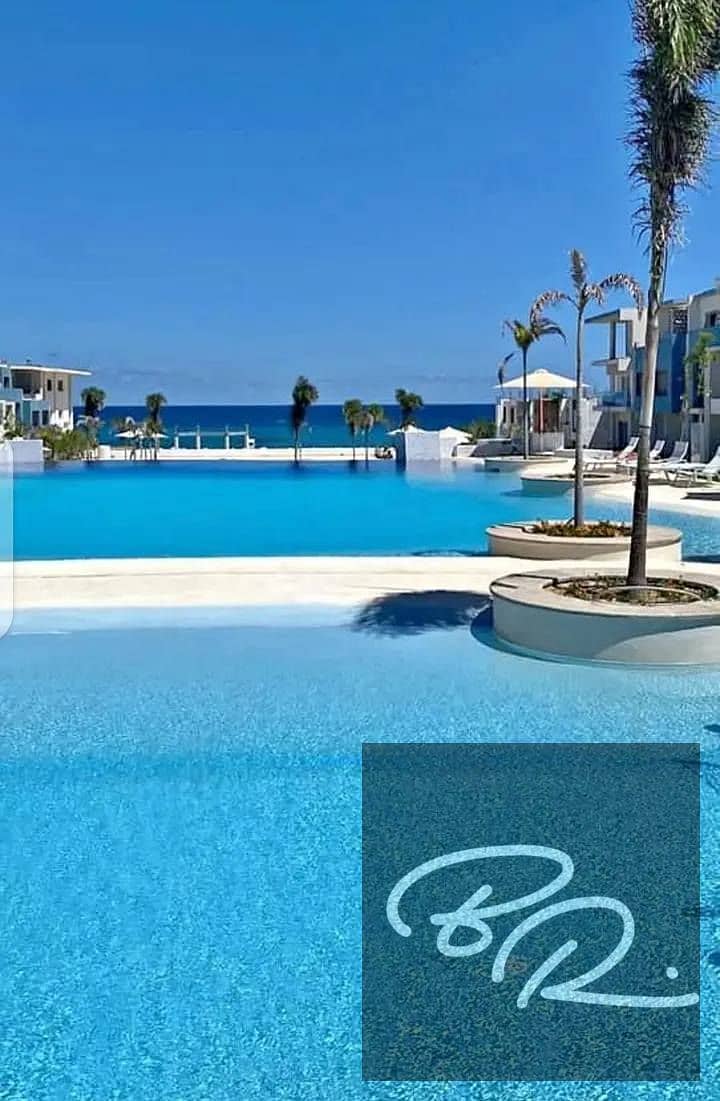 6 555. jpg