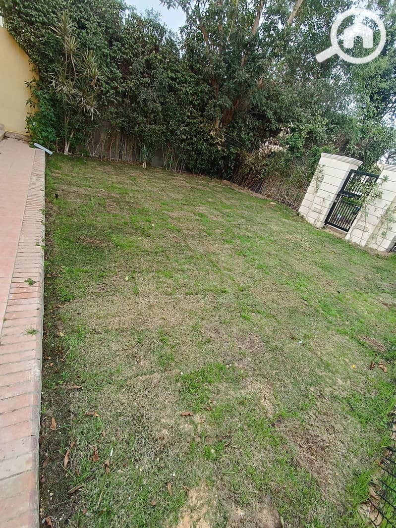 3 165. jpg