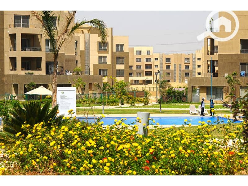 9 Palm Parks 1. jpg