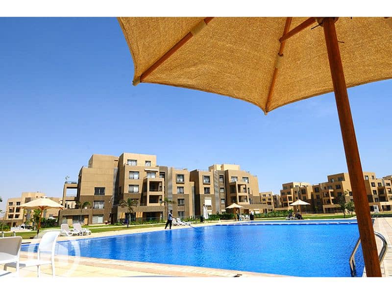 11 Palm Parks 3. jpg