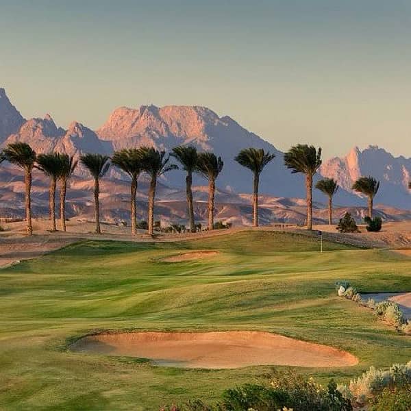 first row golf in new giza