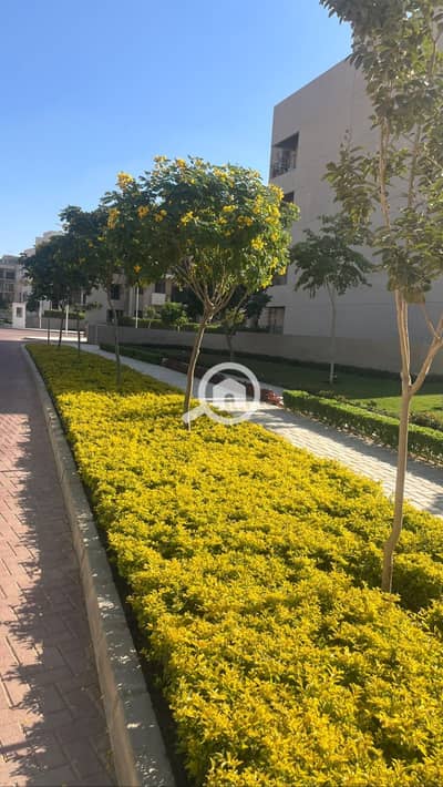 3 Bedroom Flat for Sale in New Cairo, Cairo - WhatsApp Image 2025-07-09 at 1.57. 19 PM (1). jpeg