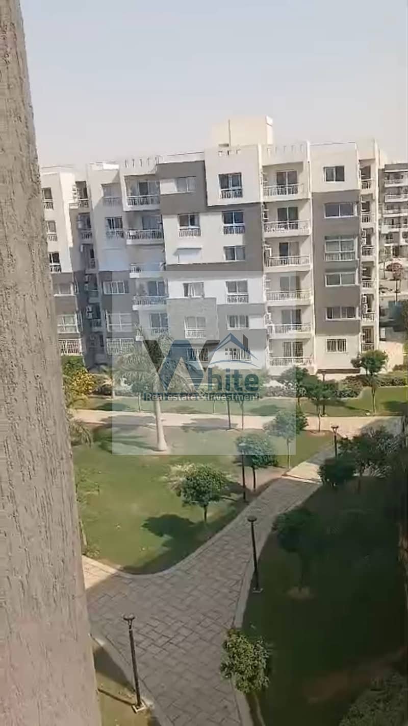 9 IMG_8648. jpeg