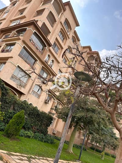 4 Bedroom Apartment for Sale in Madinaty, Cairo - WhatsApp Image 2024-09-26 at 1.55. 59 PM. jpeg