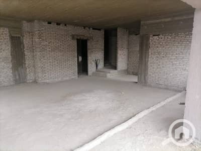 3 Bedroom Twin House for Sale in Madinaty, Cairo - WhatsApp Image 2022-01-02 at 11.05. 17 AM. jpeg