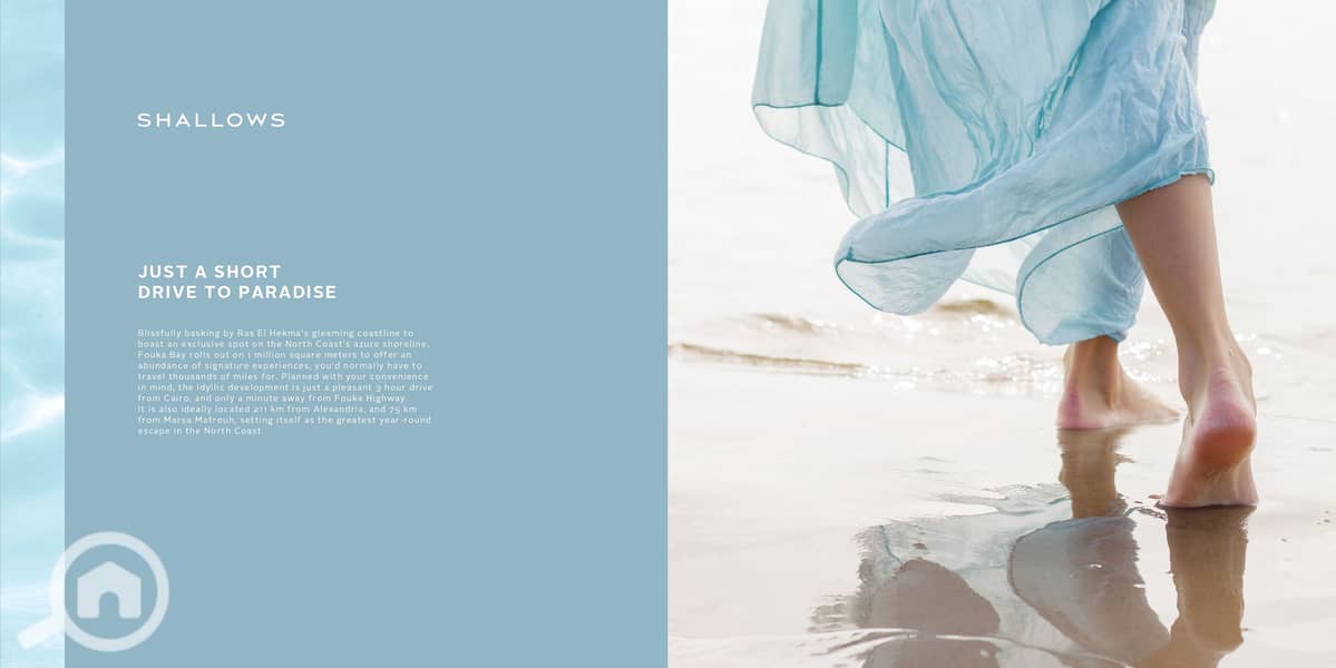 10 Shallows Sales Kit 2024_page-0003. jpg