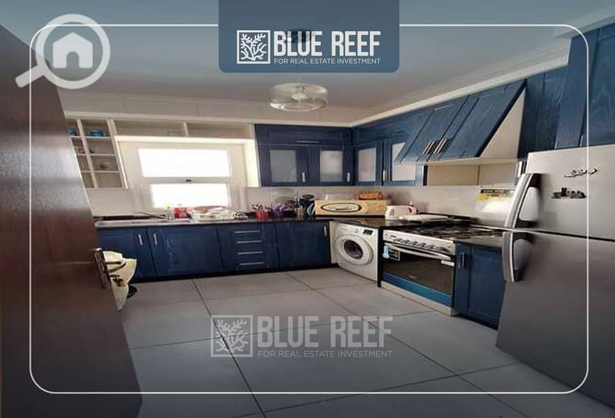 4 Bluereef  - Templete. psdsdfcv (1)-hjkl. jpg