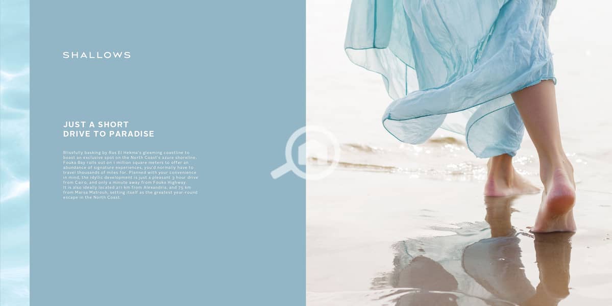 10 Shallows Sales Kit 2024_page-0003. jpg
