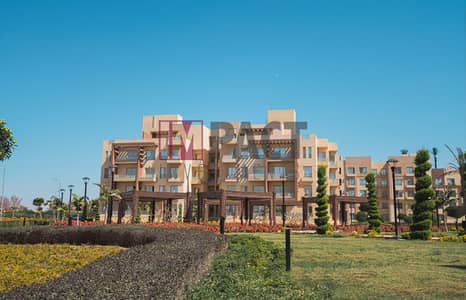 3 Bedroom Apartment for Sale in Shorouk City, Cairo - Screenshot 2025-03-27 113531. png