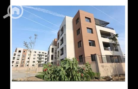 2 Bedroom Apartment for Sale in New Cairo, Cairo - WhatsApp Image 2025-02-05 at 10.42. 36 (5). jpeg