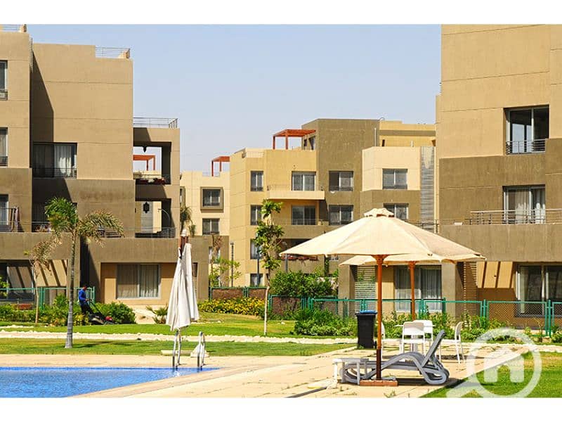 6 Palm Parks 4. jpg