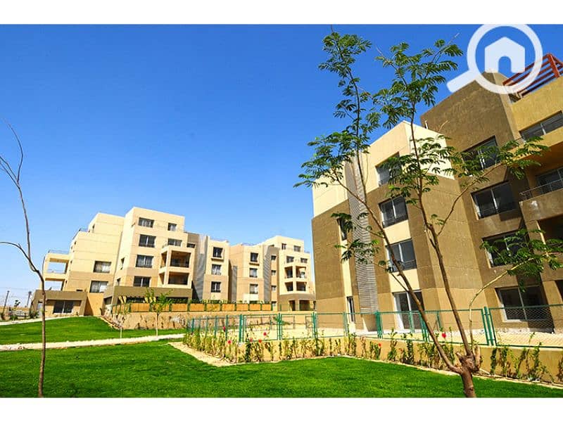 8 Palm Parks 6. jpg