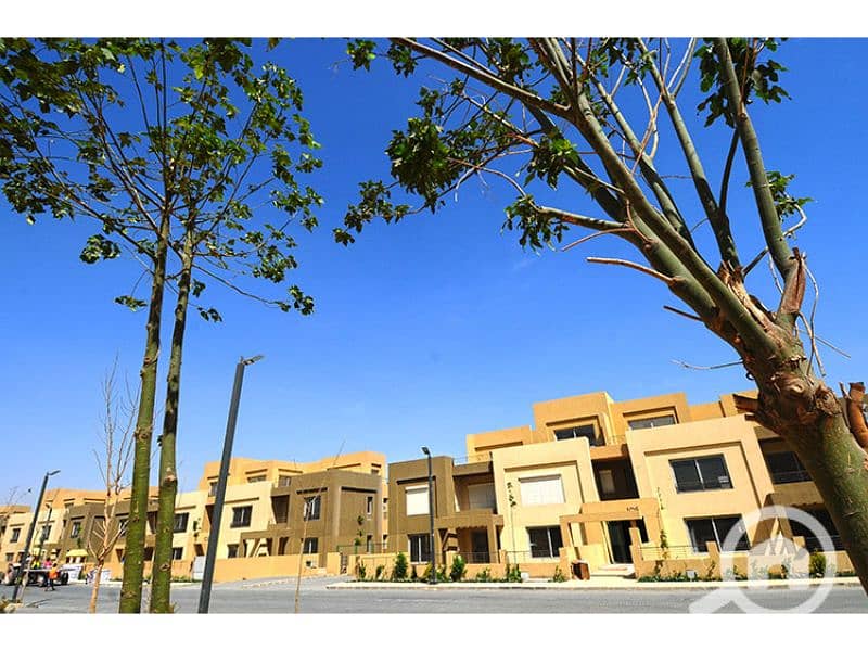 11 Palm Parks 9. jpg