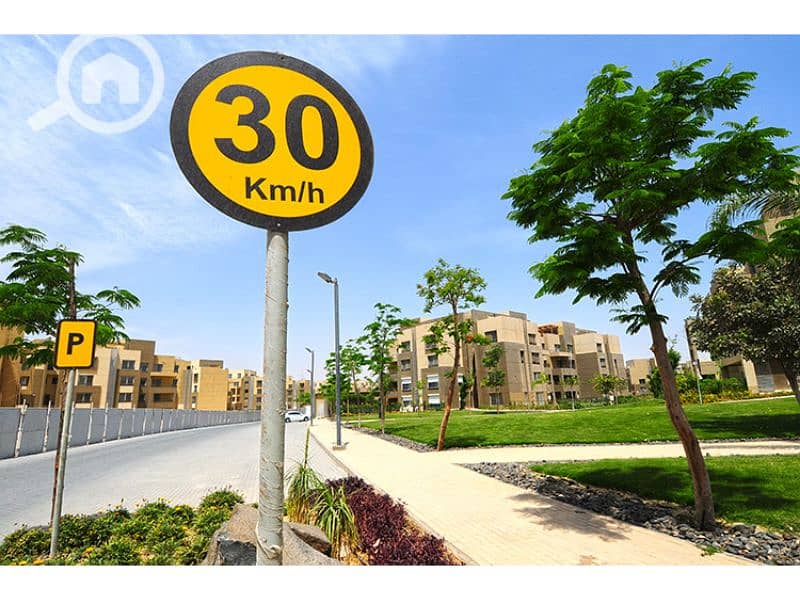 13 Palm Parks 12. jpg