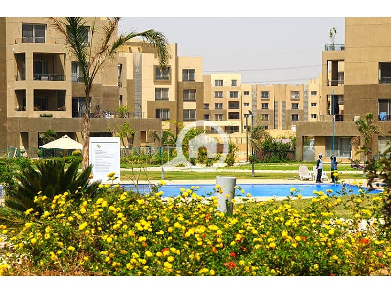 6 Palm Parks 1. jpg