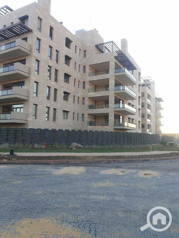 4 WhatsApp Image 2025-07-13 at 23.17. 47_1dc1ccf1. jpg