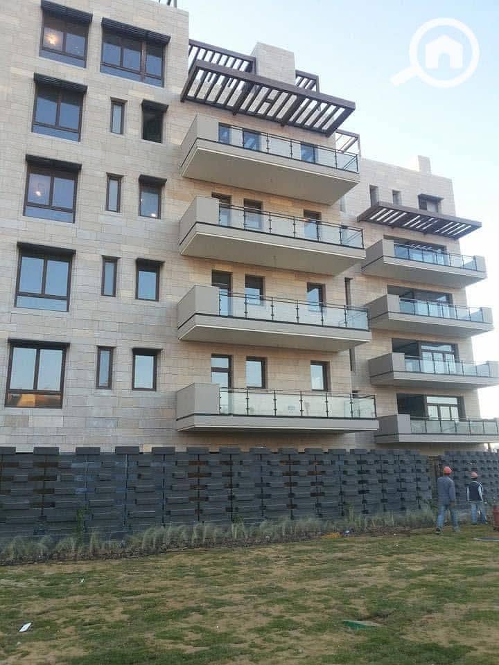 6 WhatsApp Image 2025-07-13 at 23.17. 47_ada65579. jpg