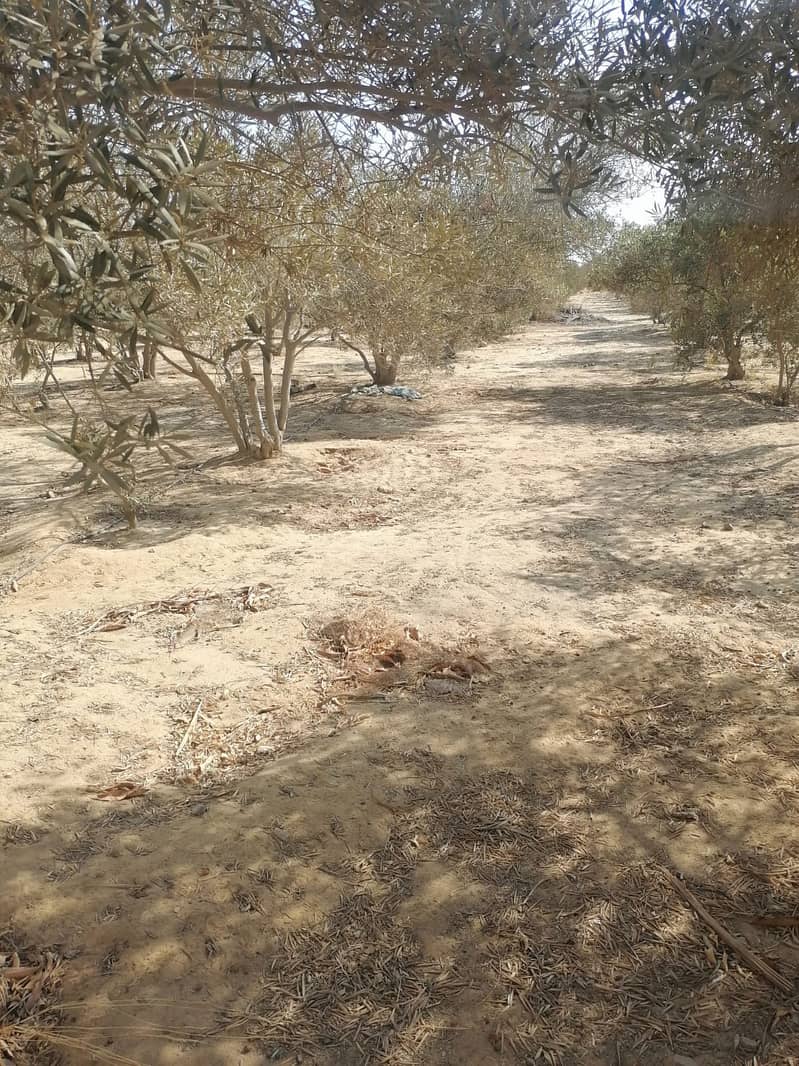 Villa and land for sale Villa and land for sale