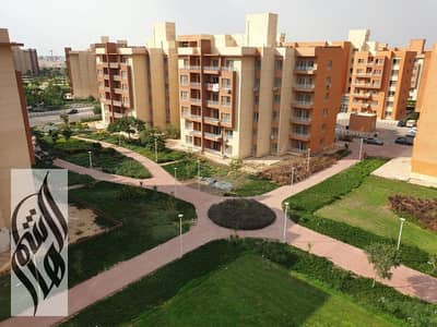 3 Bedroom Apartment for Sale in Shorouk City, Cairo - WhatsApp Image 2025-07-13 at 10.41. 41 PM (1). jpg