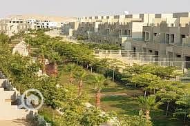 4 بالم هيلز قطامية 3. jpg