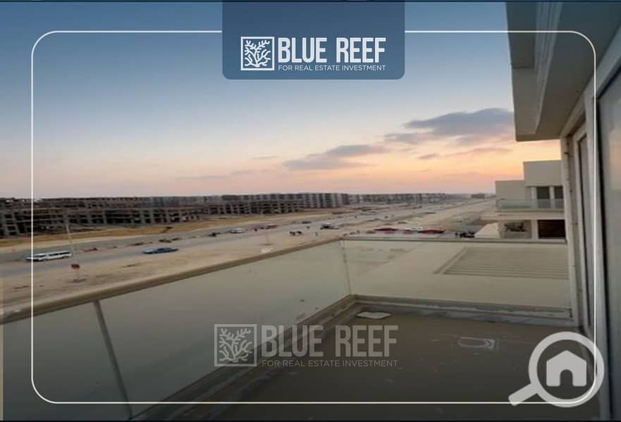 5 Bluereef  - Templete. psdsdfcv (1)-Recovered-xfhg. jpg