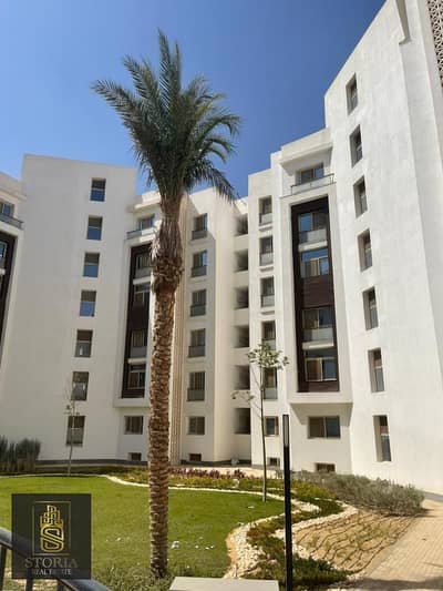 3 Bedroom Apartment for Sale in North Coast, Matruh - 3. jpeg