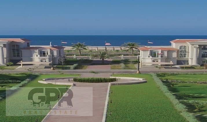 9 زاهية-المنصورة-الجديدة. jpg