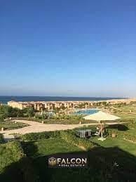 11 WhatsApp Image 2025-07-14 at 12.09. 29_f00de945. jpg