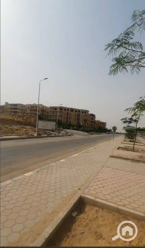 5 3. jpg