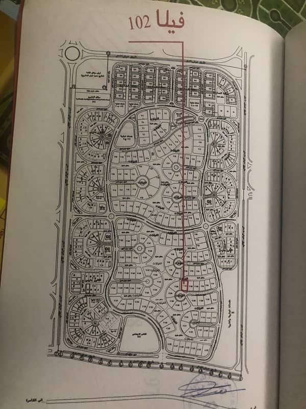 19 