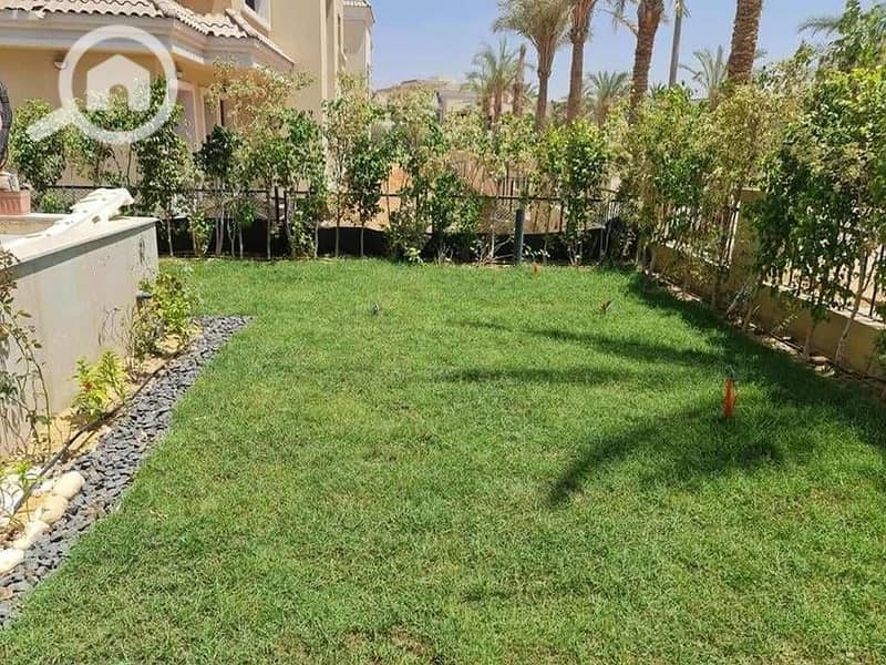 16 يبس. jpg