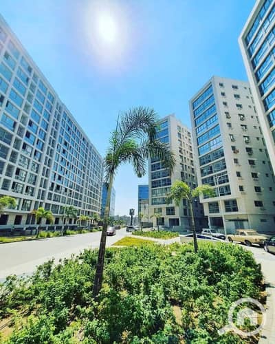 1 Bedroom Flat for Sale in Katameya, Cairo - WhatsApp Image 2025-06-10 at 12.23. 16_71c2846a. jpg